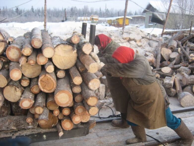 Hard daily work is one of the main risk factors for the development of joint pathologies